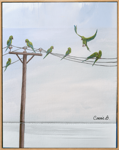 Parrots perched among pink blossom